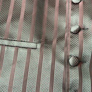 Tux vest maroon vertical stripes and tiny polka dots - small- med